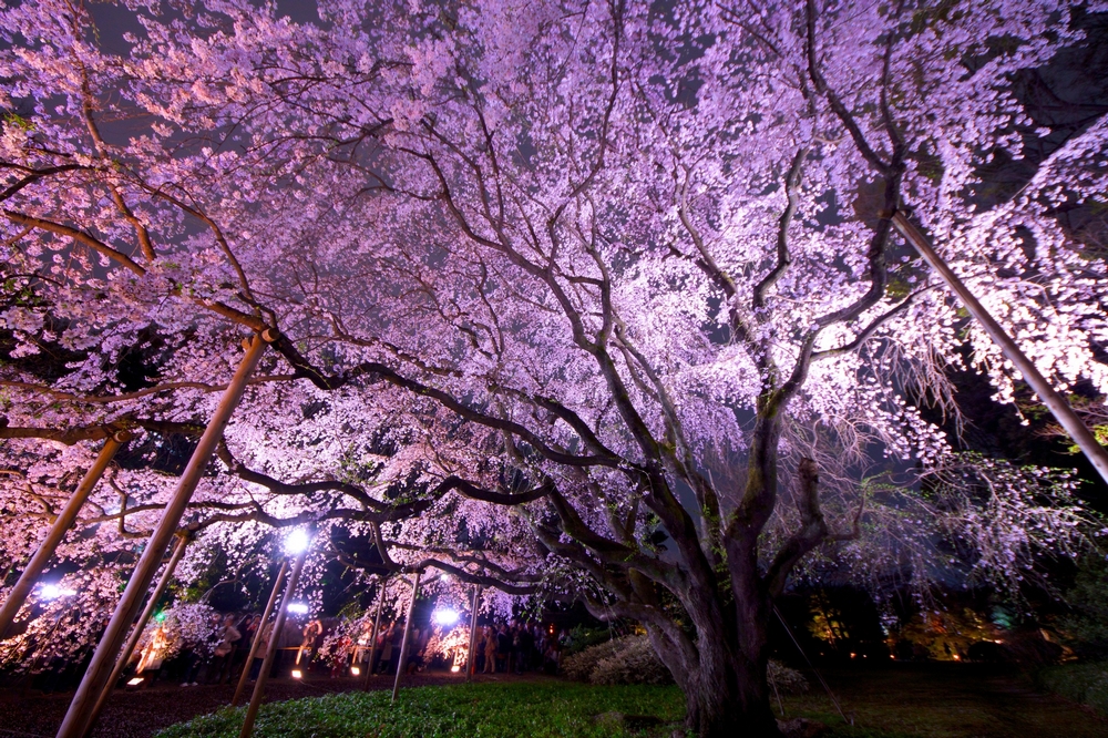 pixta_6943986_M