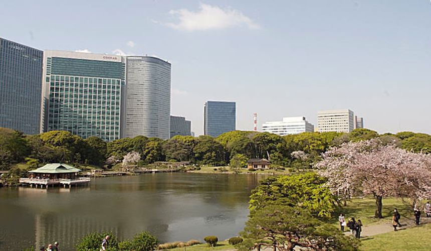sakurayaehama